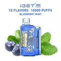 IGET FLARE B10000 – Blueberry Mint - Vape Shop Mumbai
